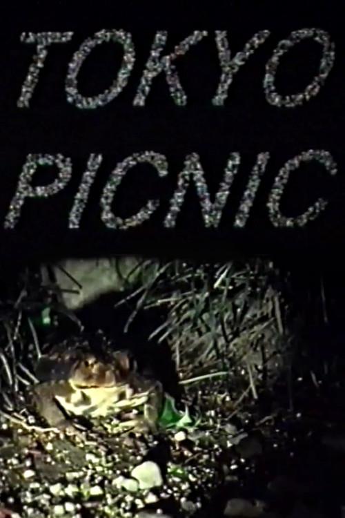 Tokyo Picnic 1999 official movie poster