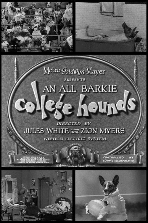 College Hounds 1929 official movie poster