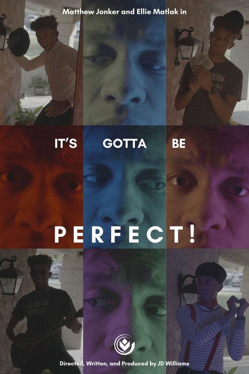 It's Gotta Be Perfect! 2024 official movie poster