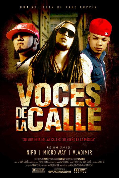 Voces de la Calle 2018 official movie poster
