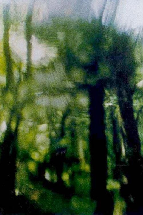 Green Canopy 1994 official movie poster