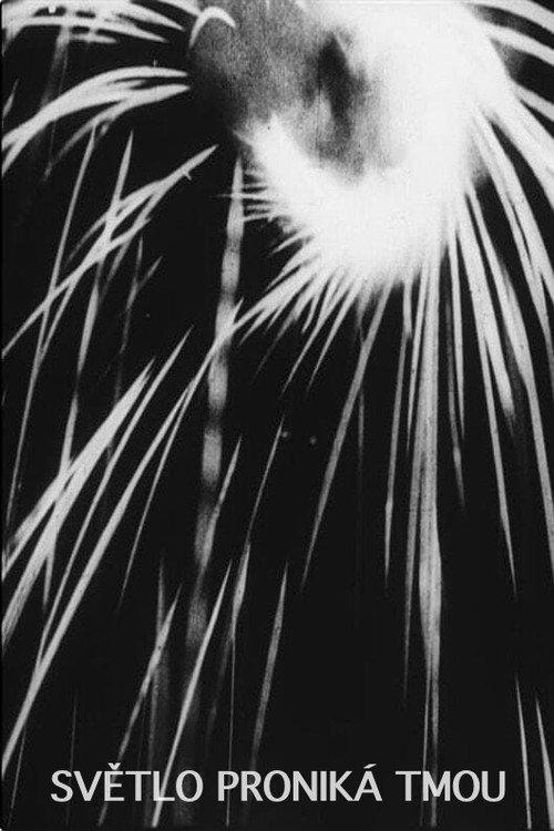 The Light Penetrates the Dark 1931 official movie poster