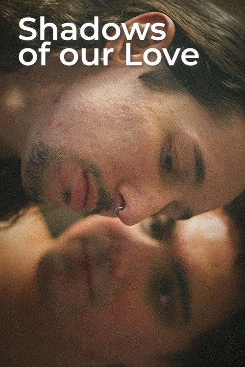Shadows of Our Love 2022 official movie poster