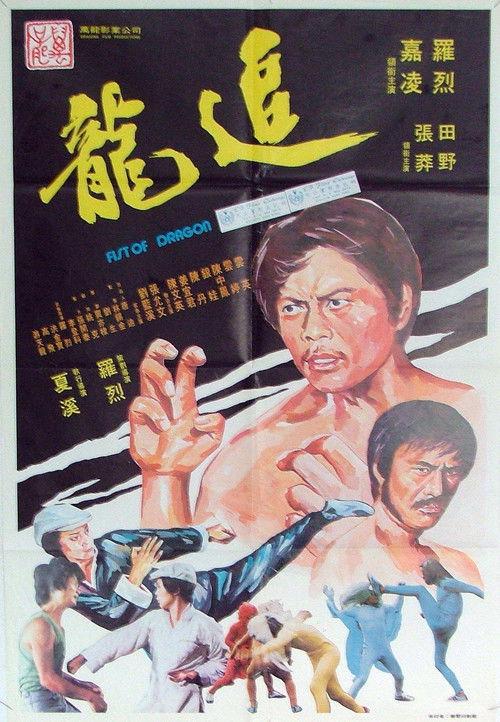 Fist of Dragon 1977 official movie poster