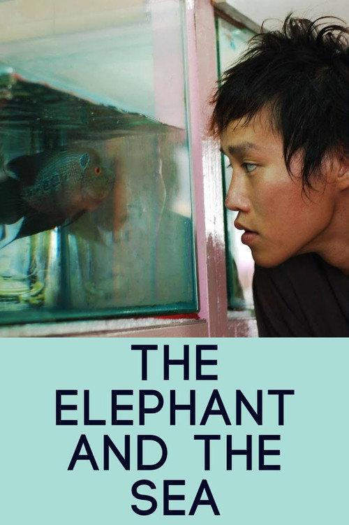 The Elephant and the Sea 2007 official movie poster