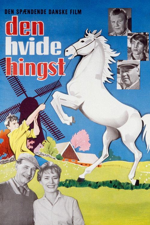 The Boy Who Loved Horses 1961 official movie poster