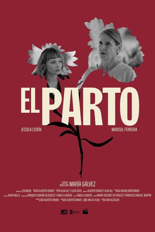El Parto  official movie poster