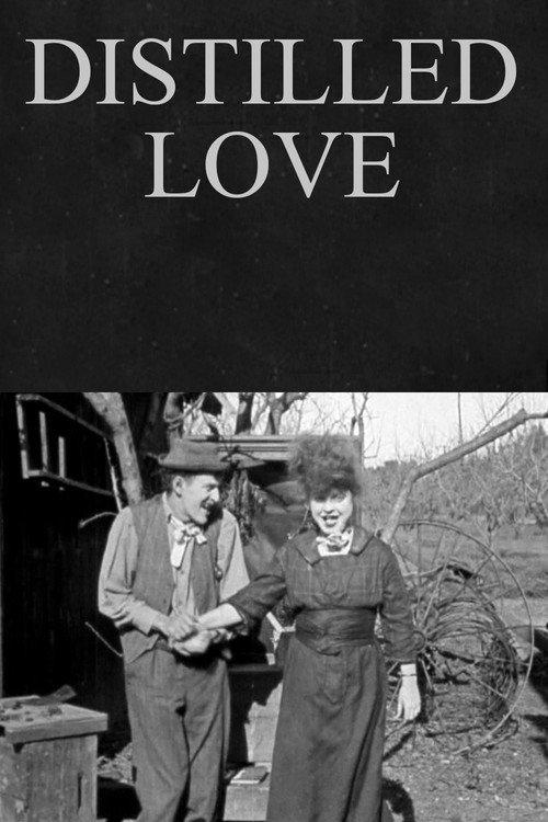 Distilled Love 1920 official movie poster