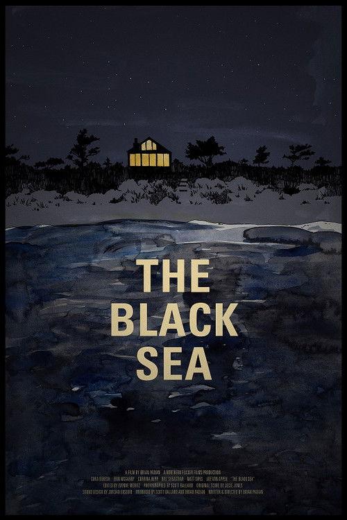 The Black Sea 2015 official movie poster