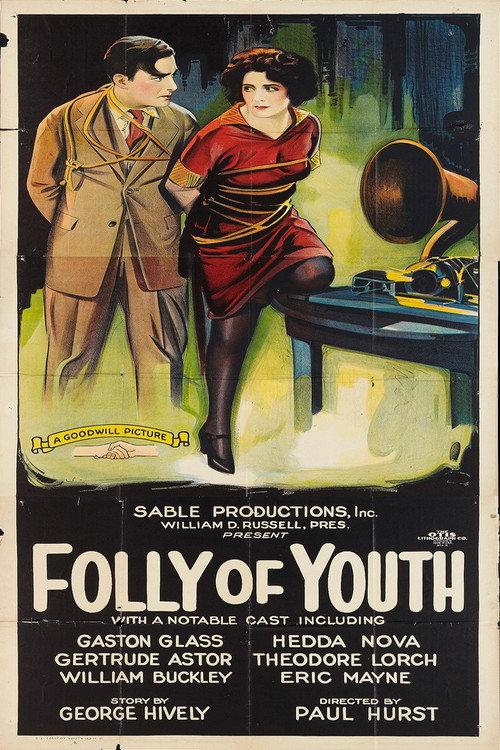 Folly of Youth 1925 official movie poster