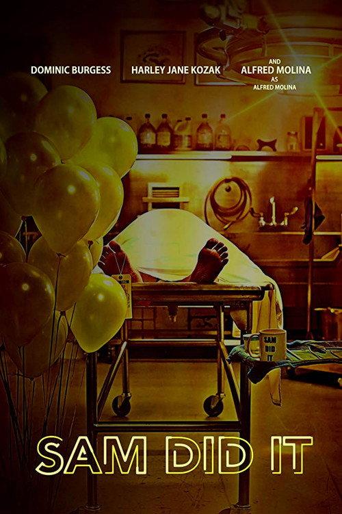 Sam Did It 2018 official movie poster