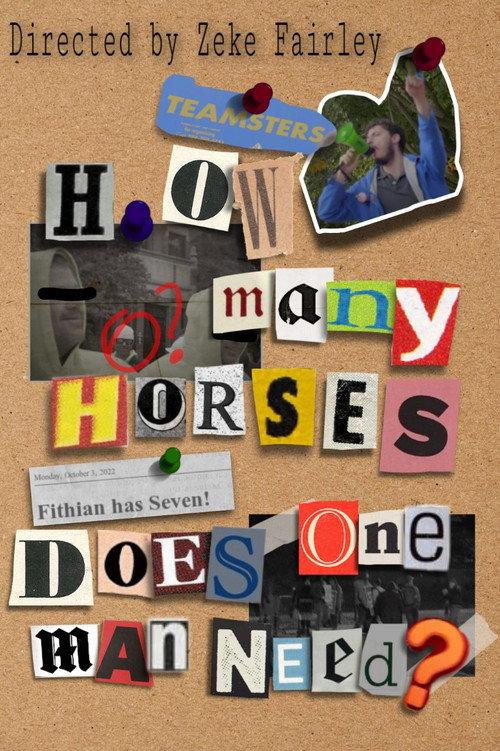 How Many Horses Does One Man Need? 2022 official movie poster