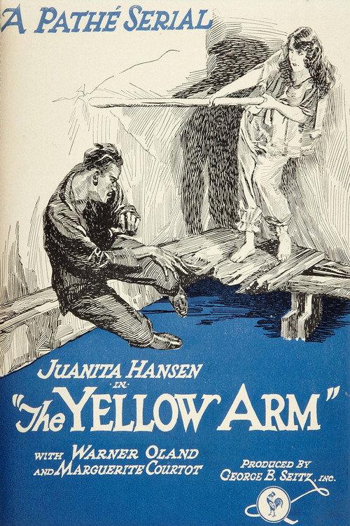 The Yellow Arm 1921 official movie poster