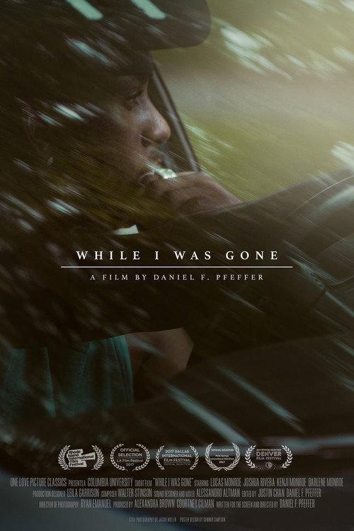 While I Was Gone 2017 official movie poster