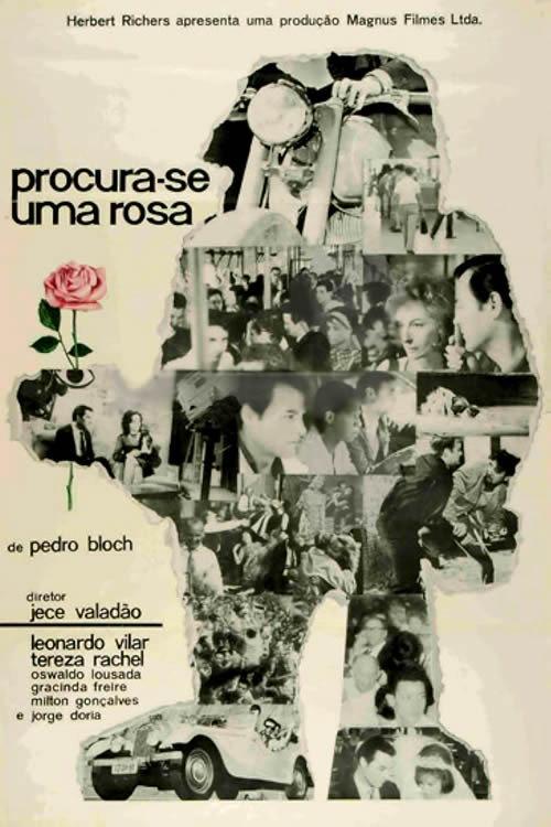 Procura-se Uma Rosa 1964 official movie poster