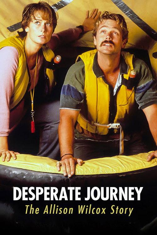 Desperate Journey: The Allison Wilcox Story 1993 official movie poster