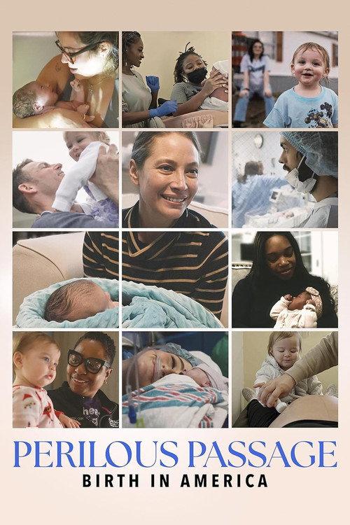 Perilous Passage: Birth in America 2026 official movie poster