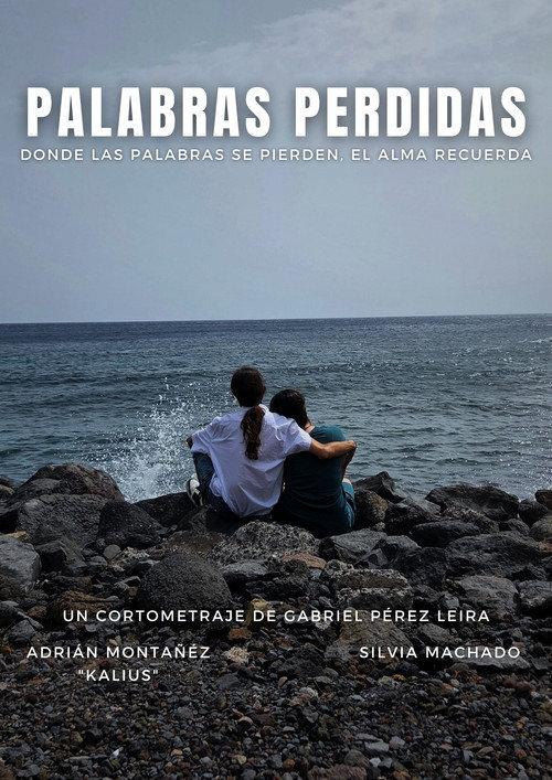 Palabras Perdidas 2026 official movie poster