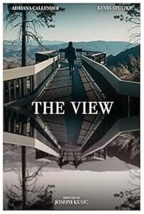 The View 2021 official movie poster