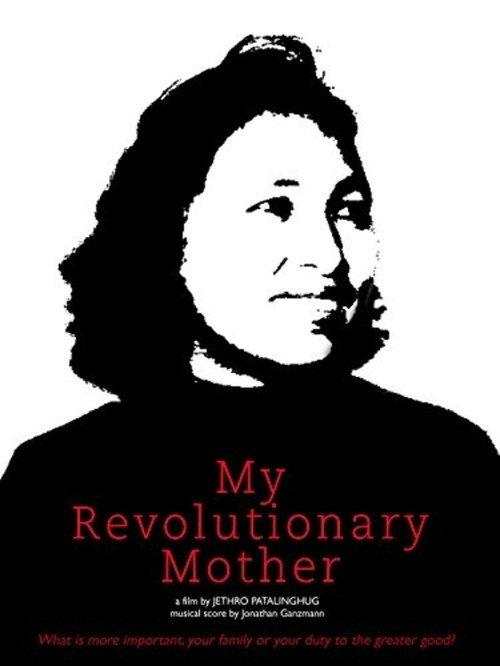 My Revolutionary Mother 2013 official movie poster
