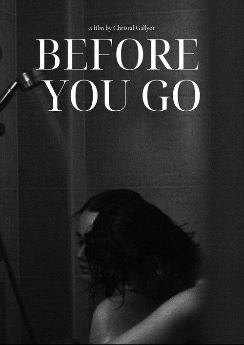 Before You Go 2023 official movie poster