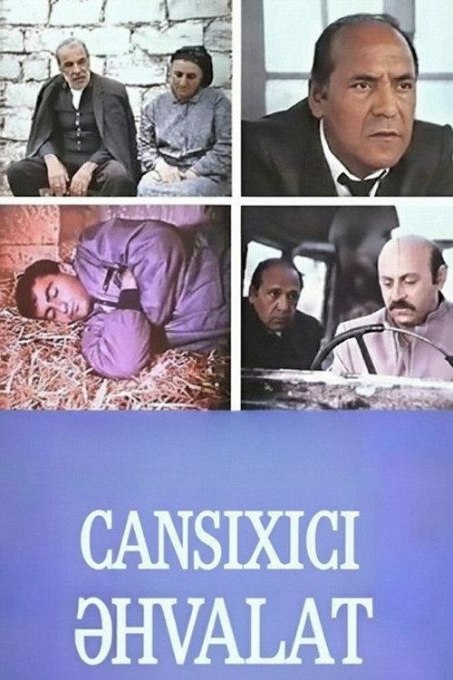 A Most Ordinary Story 1988 official movie poster