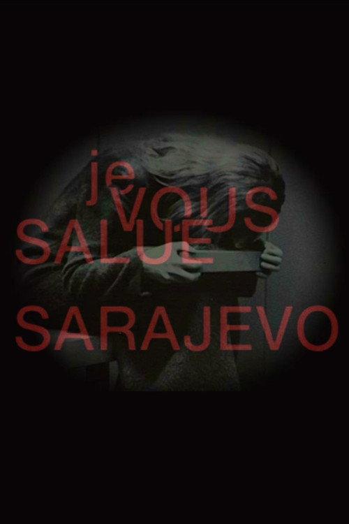 Hail, Sarajevo 1993 official movie poster
