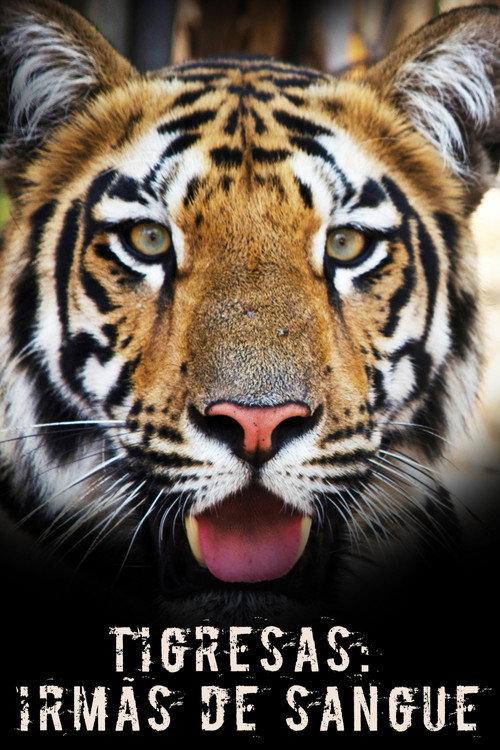 Tigress Blood 2014 official movie poster