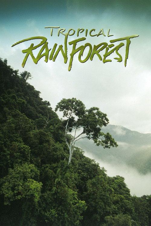Tropical Rainforest 1992 official movie poster