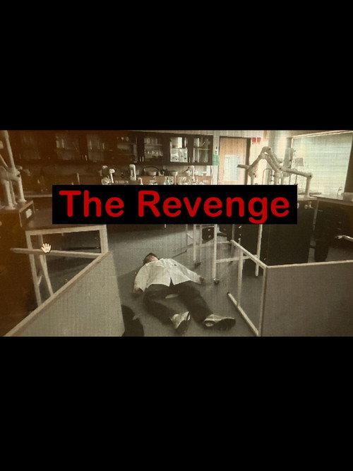 The Revenge 2023 official movie poster