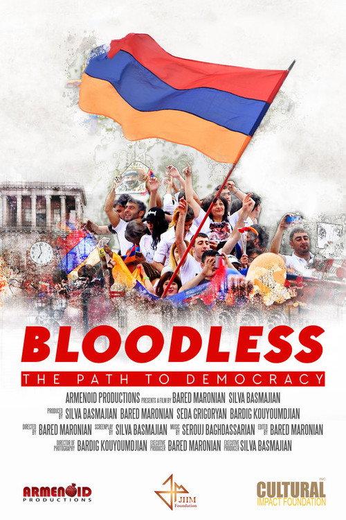 Bloodless: The Path to Democracy 2020 official movie poster