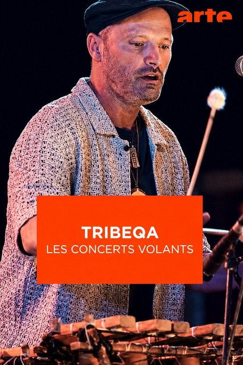 TribeQa - Les Concerts Volants 2025 official movie poster
