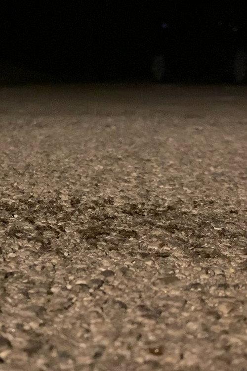 Snails Steadily Stroll the Street 2: Diligent Dirt-Dwellers Dash (Snails Steadily Stroll Lenin Nightcore Remix) 2024 official movie poster