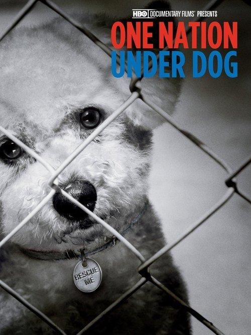 One Nation Under Dog 2012 official movie poster