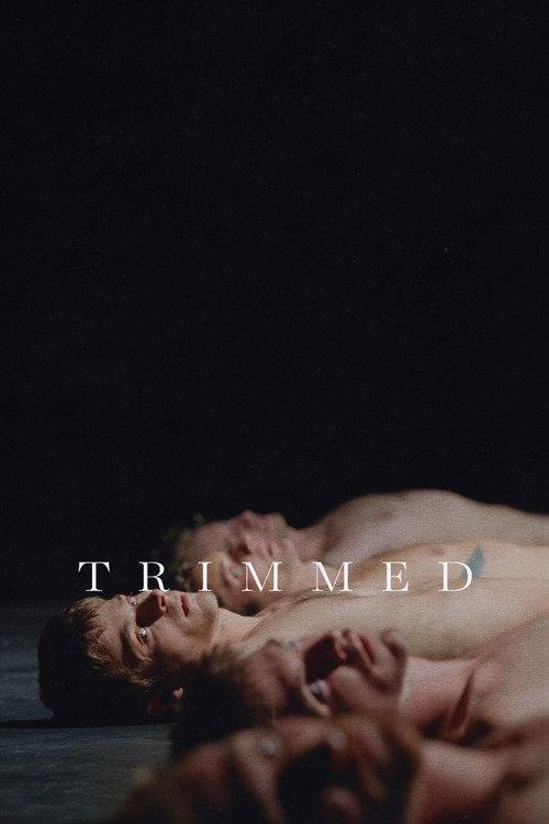 Trimmed 2027 official movie poster