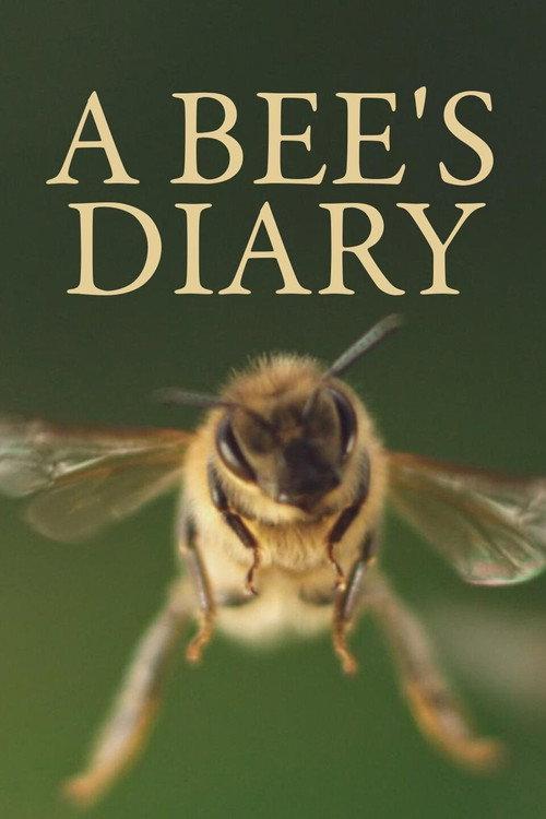 A Bee's Diary 2020 official movie poster