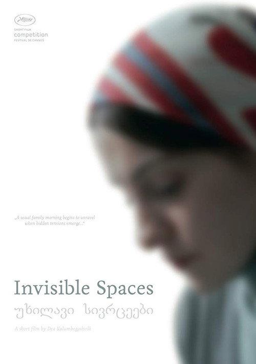 Invisible Spaces 2014 official movie poster