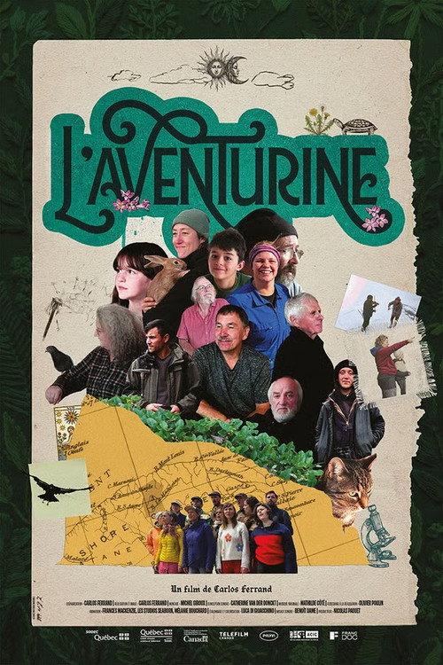 L'aventurine 2026 official movie poster