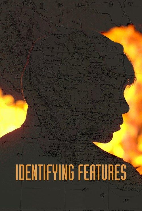 Identifying Features 2020 official movie poster