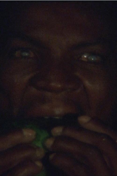 Solar, the Blindman Eating a Papaya 2011 official movie poster
