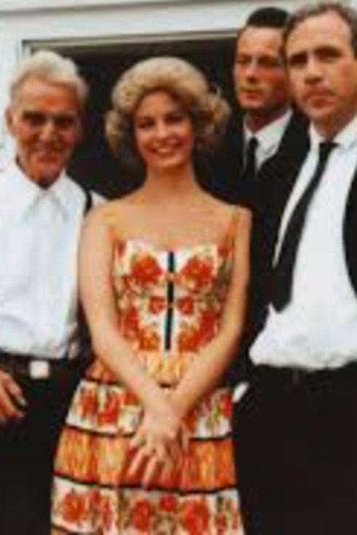 Sunday Dinner 1991 official movie poster