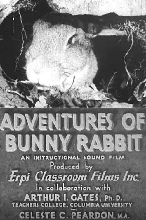 Adventures of Bunny Rabbit 1937 official movie poster