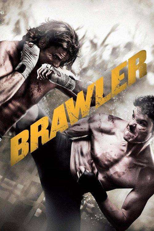 Brawler 2011 official movie poster