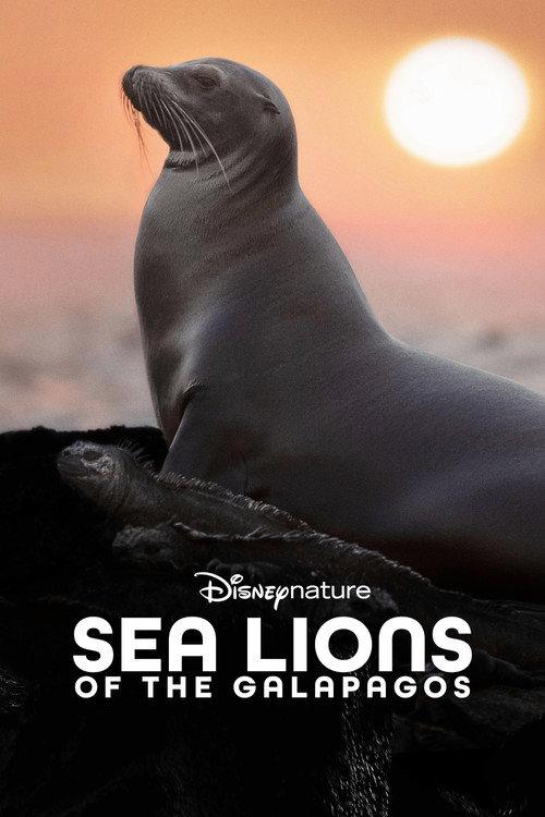 Sea Lions of the Galapagos 2025 official movie poster