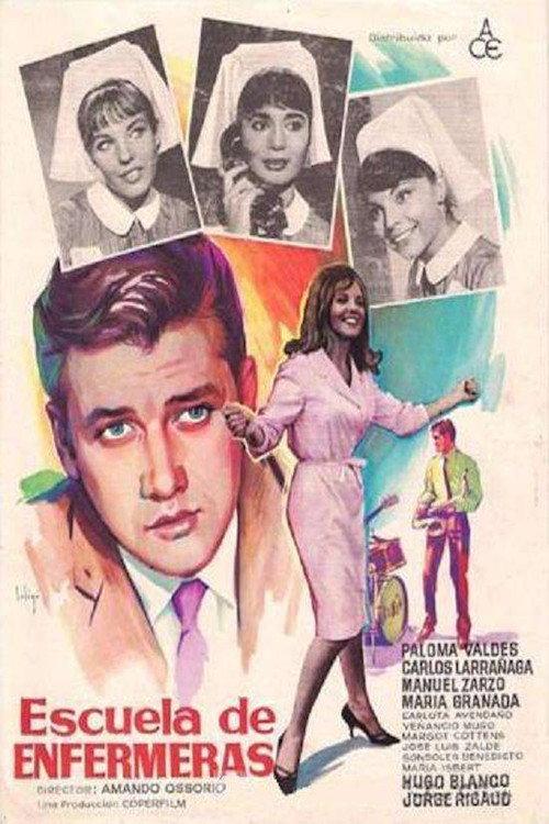 School of Nurses 1968 official movie poster