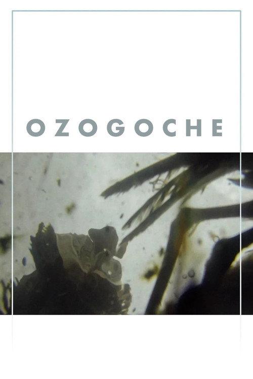 Ozogoche 2023 official movie poster