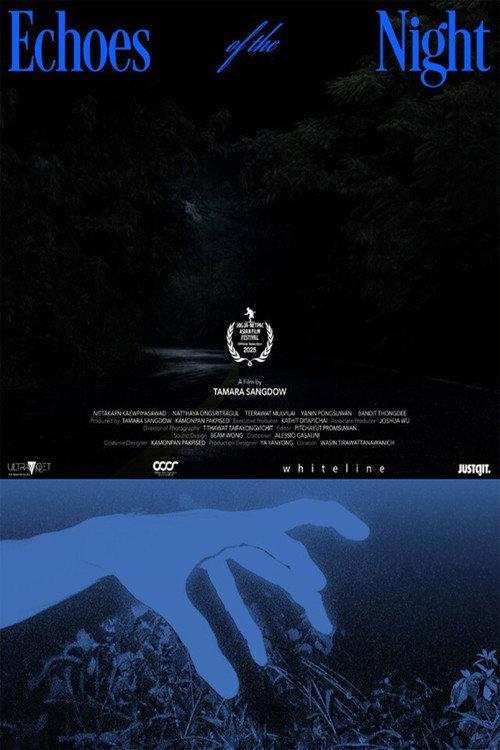 Echoes of the Night 2026 official movie poster