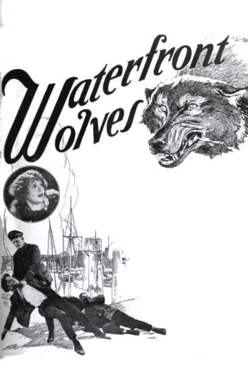 Waterfront Wolves 1924 official movie poster