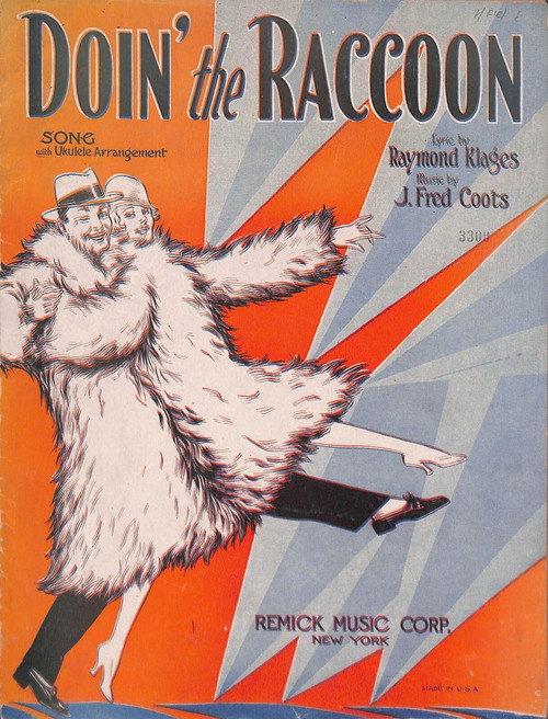 Doin’ the Raccoon 1928 official movie poster
