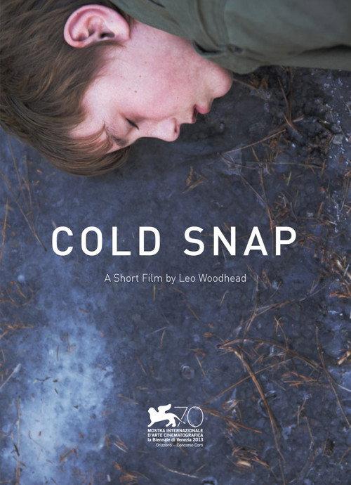 Cold Snap 2013 official movie poster